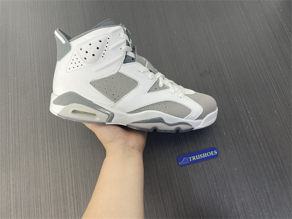 Jordan 6 Cool Grey CT8529-100