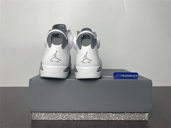 Jordan 6 Cool Grey CT8529-100