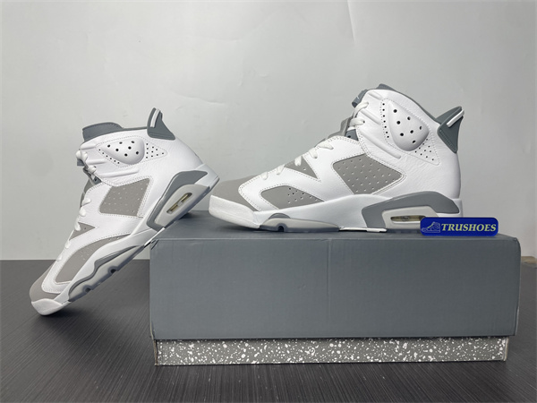 Jordan 6 Cool Grey CT8529-100