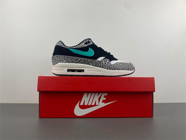 Air Max 1 Premium 908366-001