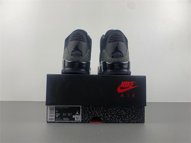 Air Jordan 3 CK9246-168